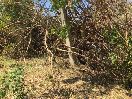 Hurricane Irma destroys and even moved concrete posts.