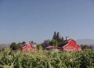 5th Annual Ventura County Farm Day BBQ Held at Hansen’s Agricultural Center in 2017 — SEEAG