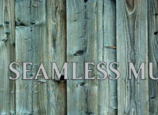 A New Music Genre Shares Seven Steps That Guarantee Success In Music! — Seamless Music