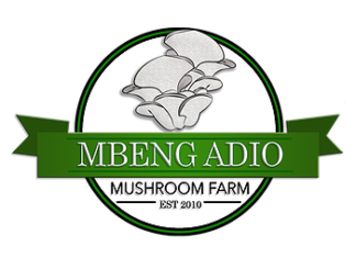 How Solar Technologies Can Help Emerging Markets Overcome the Kilowatt Divide — MAMF