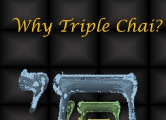 Sanibel Island Rabbi Releases Fourth Book — SusanWritesPrecise