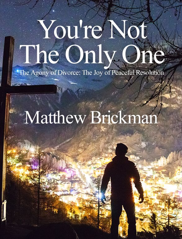 Youre Not The Only One (2017 Edition) by Matthew Brickman