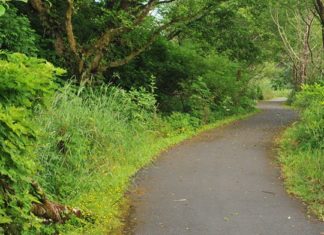 Lennar’s Eagle Glen Grand Opens in Lake Stevens on November 11 — Lennar