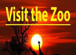 New Podcast – Visit the Zoo, on iTunes — Frederick Fichman Publishing