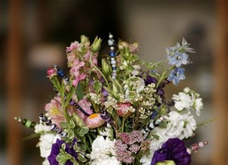 Thousands of Petals Set to Brighten Wednesday in Battle Creek from Plumeria Botanical Boutique — Plumeria Botanical Boutique