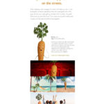 Aldi’s Christmas cliffhanger sees Kevin the Carrot return… and fall in love
