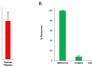 BioVision is excited to launch Methionine Assay Kit — BioVision, Inc.