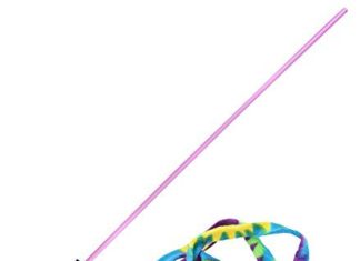 Cat Dancer’s “Charmer Wand Teaser Toy” has been ranked as Top Cat Toy by Ranky10 — Ranky10