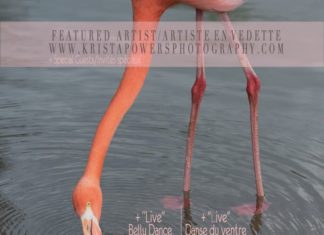 “Grace in Pink” Photography Exhibit Opening — Krista Powers Photography