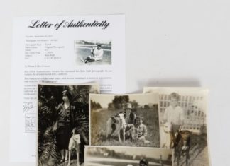 Never-before-seen photos of Babe Ruth and Jim Thorpe will be sold at Ripley Auction, December 2nd — Ripley Auctions