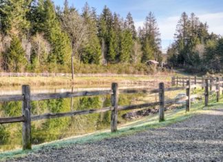 Say YES to Year End Savings in Gig Harbor at Lennar’s McCormick Creek — Lennar
