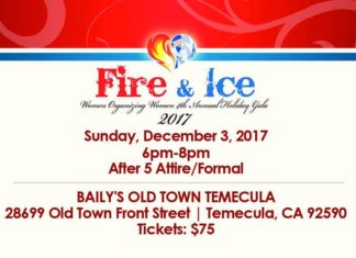 Women Organizing Women Celebrates the Season at Annual Holiday Gala — Women Organizing Women Inc.