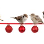 Merry Christmas – we’ll be back on 2 January