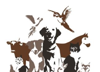 Treatibles Announces Distribution Deal with Veterinary Service, Inc — Treatibles