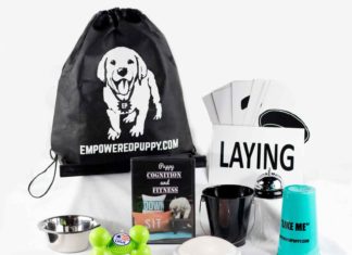 You Can Teach Your Puppy To Read, Challenge! — Training Canines, LLC