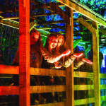 Showcase: Volpa helps Enchanted Forest break new ground