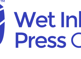 WIPCO: One-Woman Freelance Writing Venture Eyes Future Expansion into Web Development & Social Media — Wet Ink Press Co