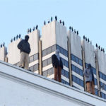 Five Campaigns We Liked in March: vote for your favourite