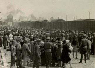 A Powerful New Documentary Honors the Last Generation of Holocaust Survivors — Llion Roberts Producer