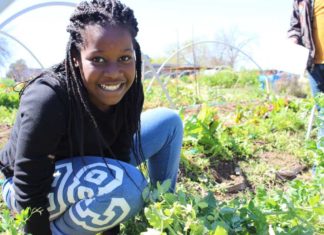 BNY Mellon Partners with EcoRise to Support Sustainability Education in NYC Schools — EcoRise
