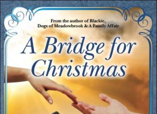 Brighton Publishing releases “A Bridge for Christmas” from William Schwenn — Brighton Publishing LLC