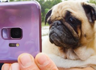 BuzzFeed and The Dodo Help Make Every Day Epic in Super Slow-mo with the Samsung Galaxy S9 and S9+ — TRACCS jordan
