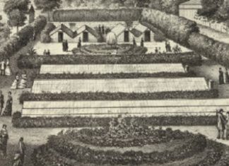 This Mother’s Day: Don’t just give flowers, give a greenhouse at Morven Museum & Garden — Morven Museum & Garden