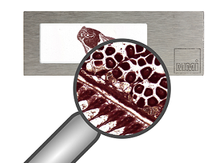 Whole Slide Imaging meets Laser Microdissection: MMI launches MMI CellScan — MMI Molecular Machines & Industries