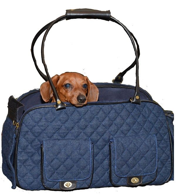 Edgar in the Denim Quilted Pet Carrier