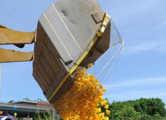 Naugatuck Chamber’s 13th Annual Duck Day & Festival Set For June 3 — Naugatuck Chamber of Commerce