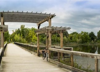 You Don’t Have to Go Up North To Celebrate National Trails Day — Michigan Trails & Greenways Alliance